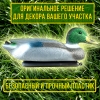 Муляж кряквы селезня 14ПС