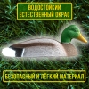 Муляж кряквы - селезня 13CBD